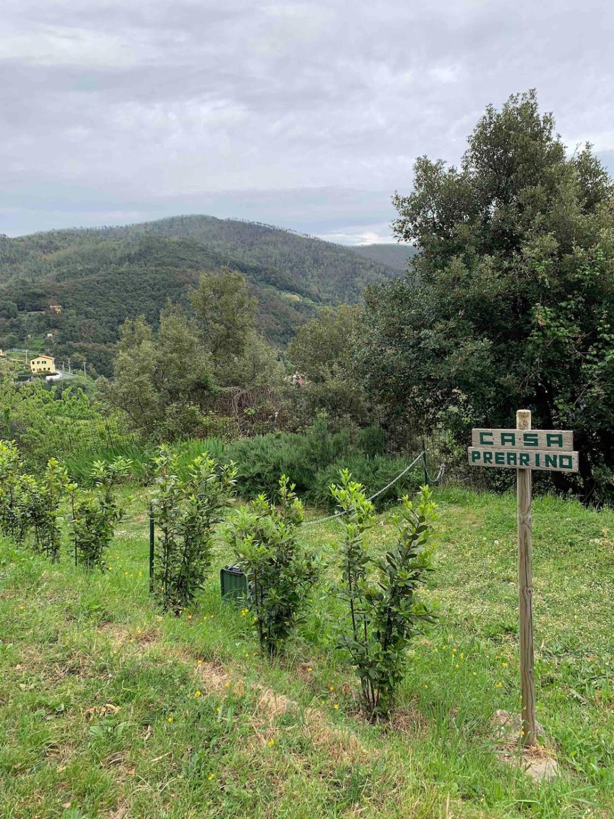 Quiet And Cozy Home With Wi-Fi Casa Prearino Vernazza Exterior photo